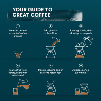 Glass Pour Over Coffee Maker with Stainless Steel Filter