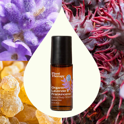 Organic Lavender & Frankincense Castor Body Oil Roll-On