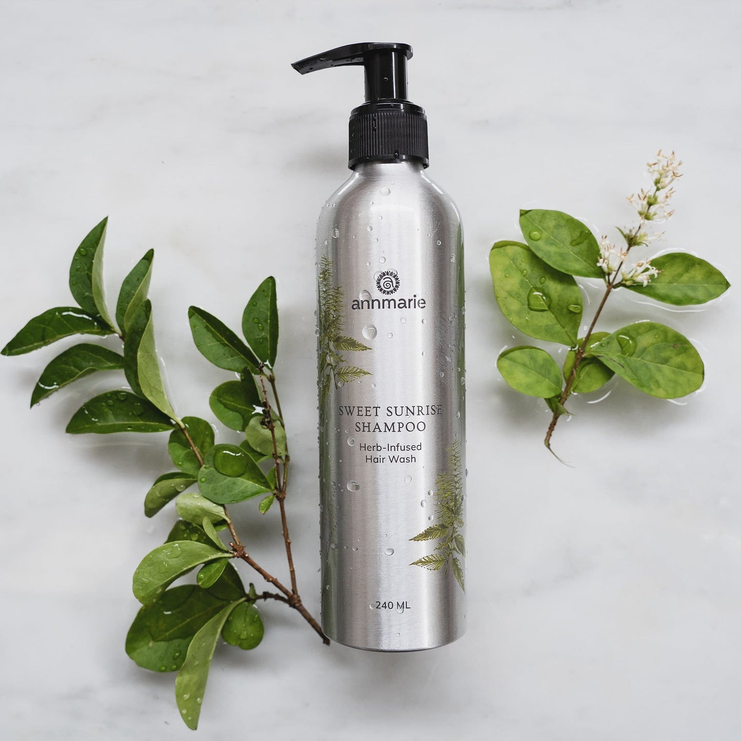 Sweet Sunrise Shampoo