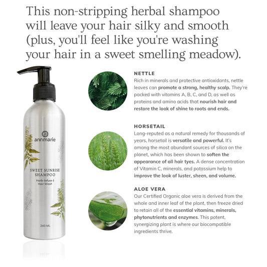 Sweet Sunrise Shampoo
