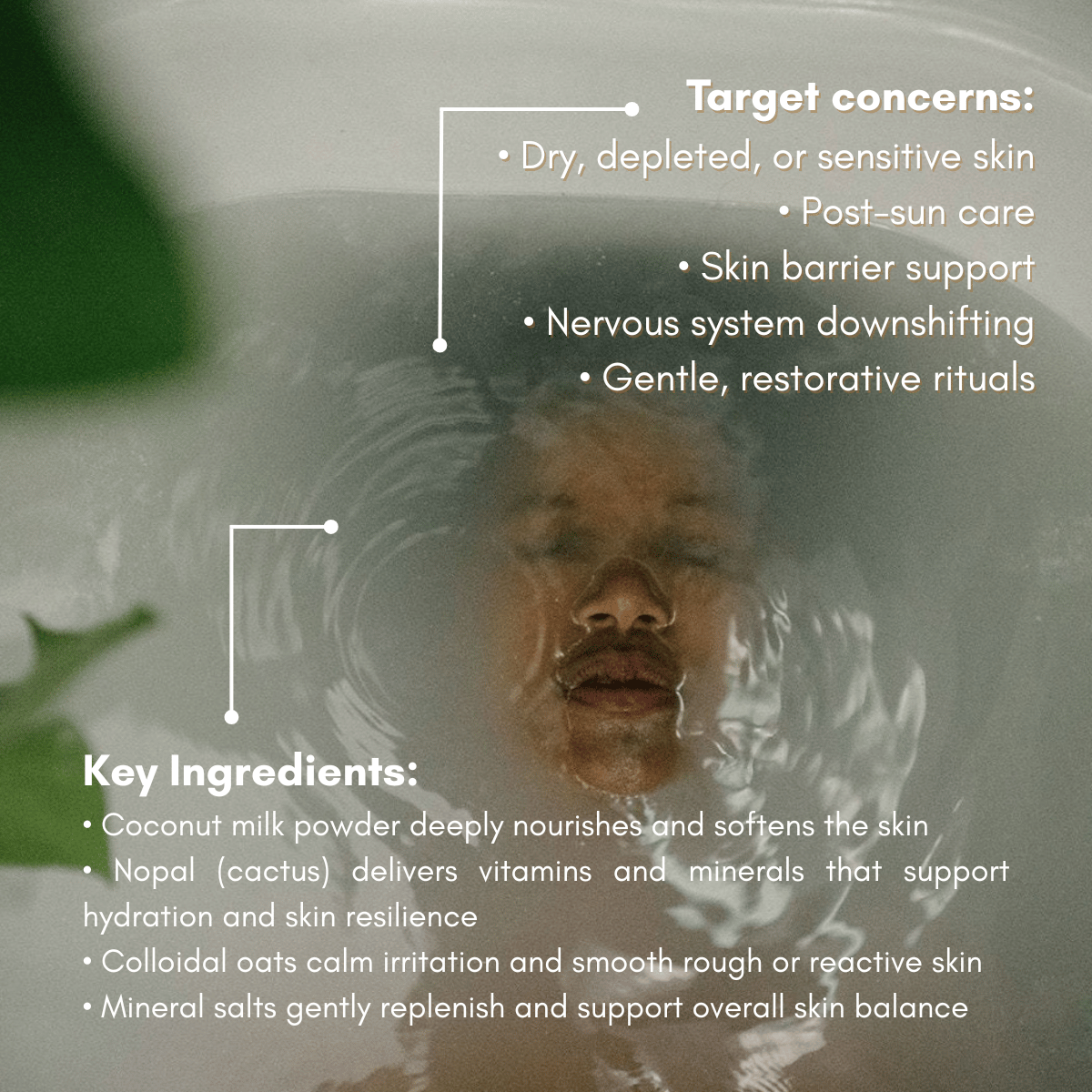 Cactus Coconut Milk Bath Soak