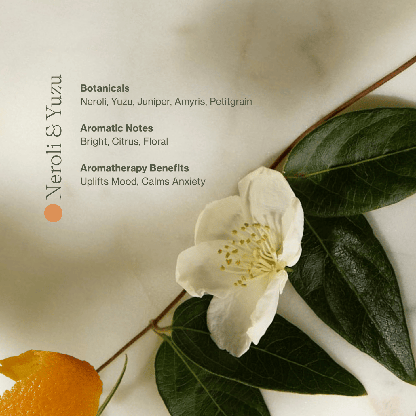 Vitamin C Body Oil - Botanical Scents