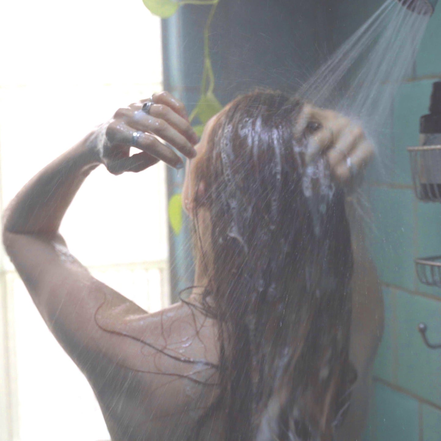 Sweet Sunrise Shampoo